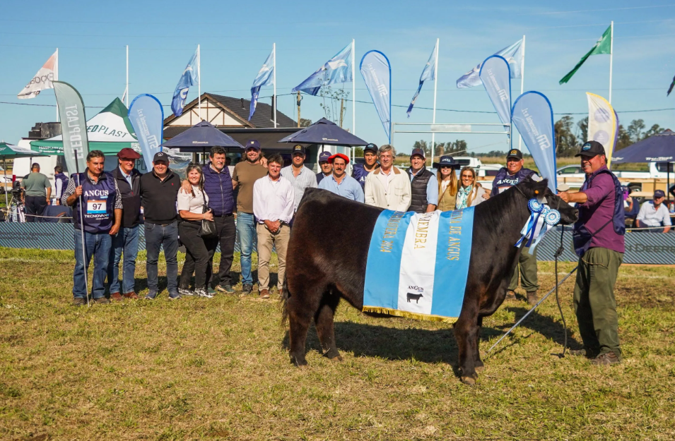 La primavera llegó con una Angus premiada