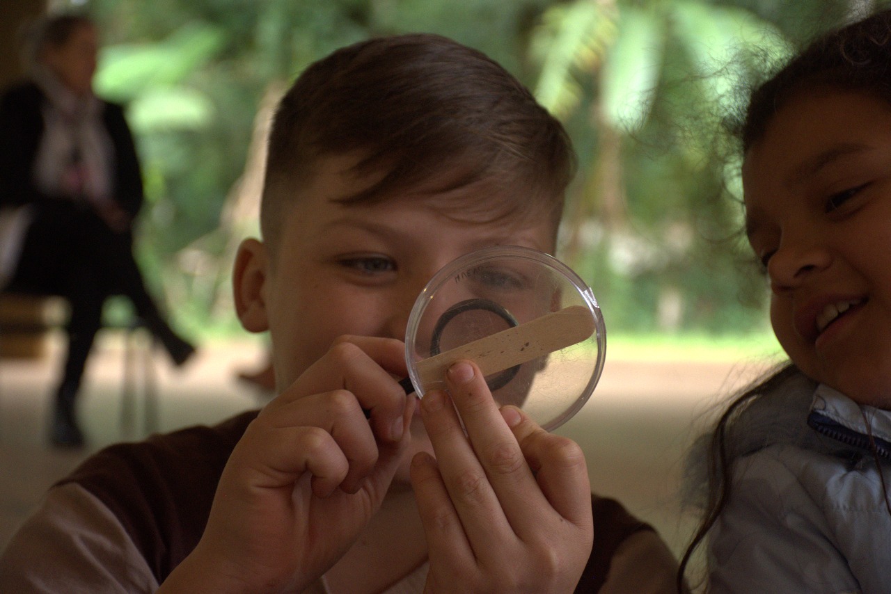 Día Internacional Contra el Dengue, Fundación Mundo Sano