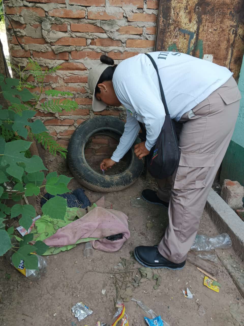 Día Internacional Contra el Dengue, Fundación Mundo Sano