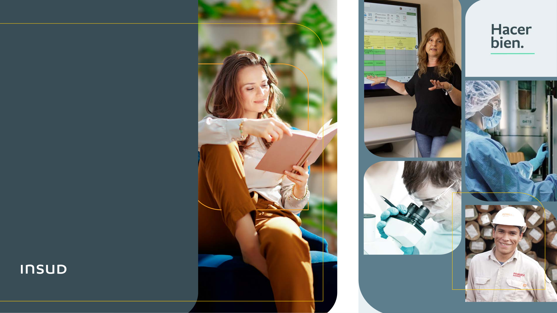 Collage institucional de Insud: mujer leyendo, investigadora en laboratorio, docente en aula, trabajador forestal y lema Hacer bien.