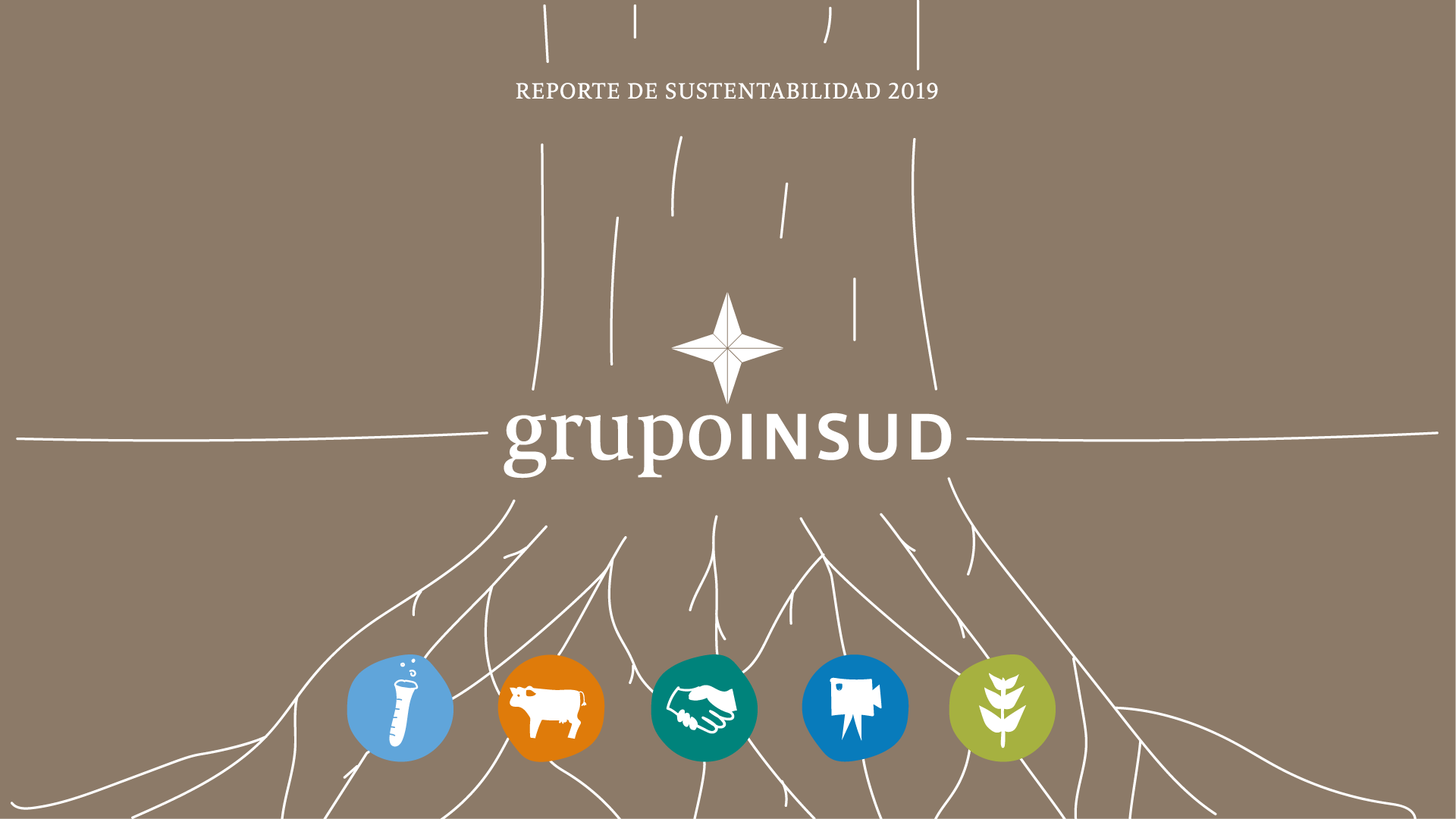 Reporte de Sustentabilidad 2019 Insud